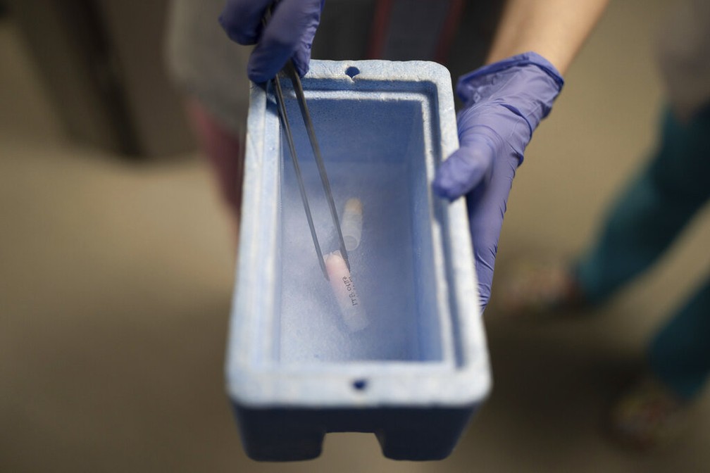 Um médico mostra uma amostra de esperma em um tubo armazenado em nitrogênio líquido na clínica de fertilidade Ivmed em Kiev, Ucrânia, terça-feira, 31 de janeiro de 2023. — Foto: AP Photo/Roman Hrytsyna