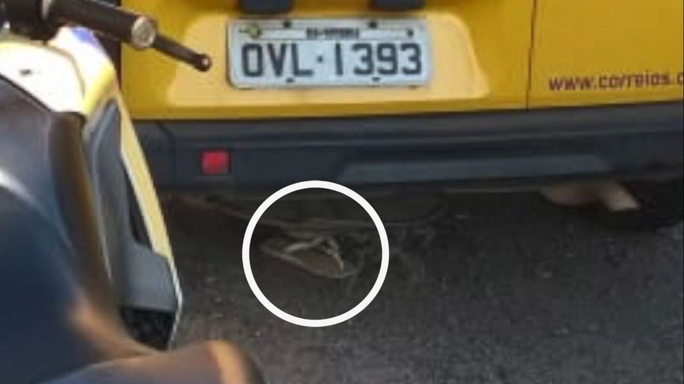 Chinelo foi abandonado embaixo do carro dos Correios e Guarda acredita que seja de criminoso — Foto: Divulgação/Guarda Municipal da Serra
