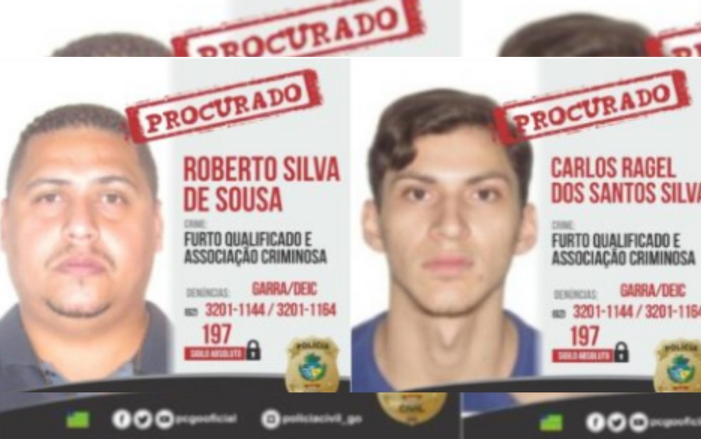 Polícia procura por mais dois suspeitos de furtar apartamento de luxo em Goiânia — Foto: Divulgação/Polícia Civil