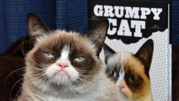 Acredita-se que Grumpy Cat valesse dezenas de milhões de dólares e, apesar da expressão dela, devia ser uma gata feliz (Foto: Getty Images via BBC)