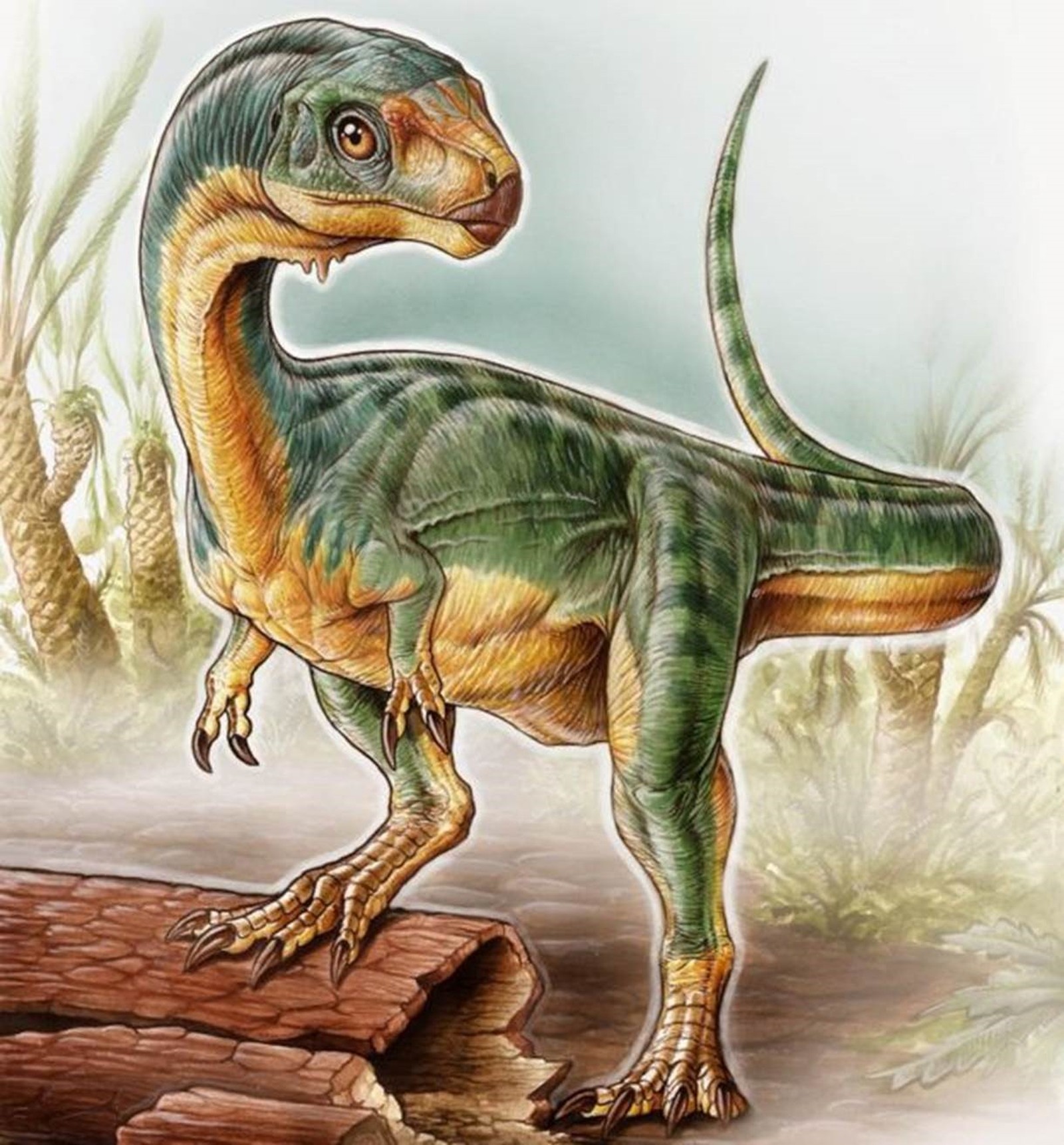 Chilesaurus viveu no período jurássico, há aproximadamente 145 milhões de anos (Foto: Ilustração BBC/Gabriel Lio)