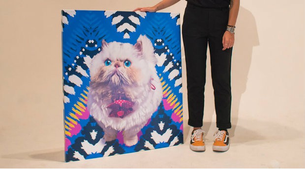 Esta jovem transforma pets em pinturas e faz sucesso na internet - Pequenas  Empresas Grandes Negócios