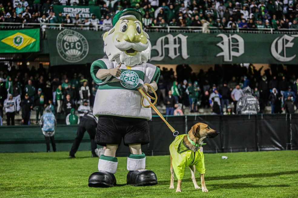 Caramelo Auviverde com o mascote do Coritiba, durante jogo, no Couto Pereira. — Foto: Coritiba.