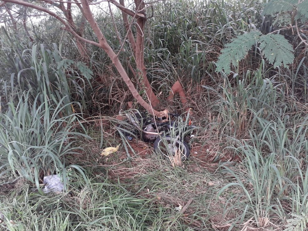 Motocicleta atingiu uma árvore — Foto: Junior Paschoalotto/TV Fronteira