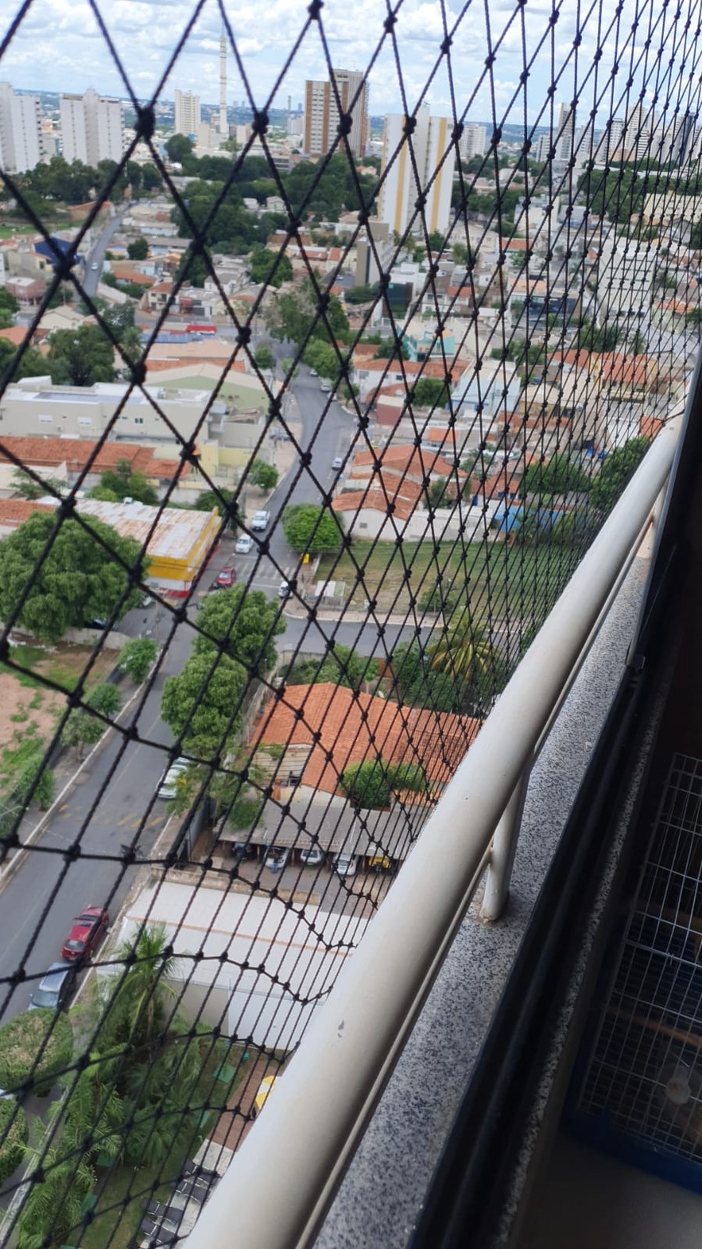 Pássaro caiu do 14º andar — Foto: Arquivo pessoal