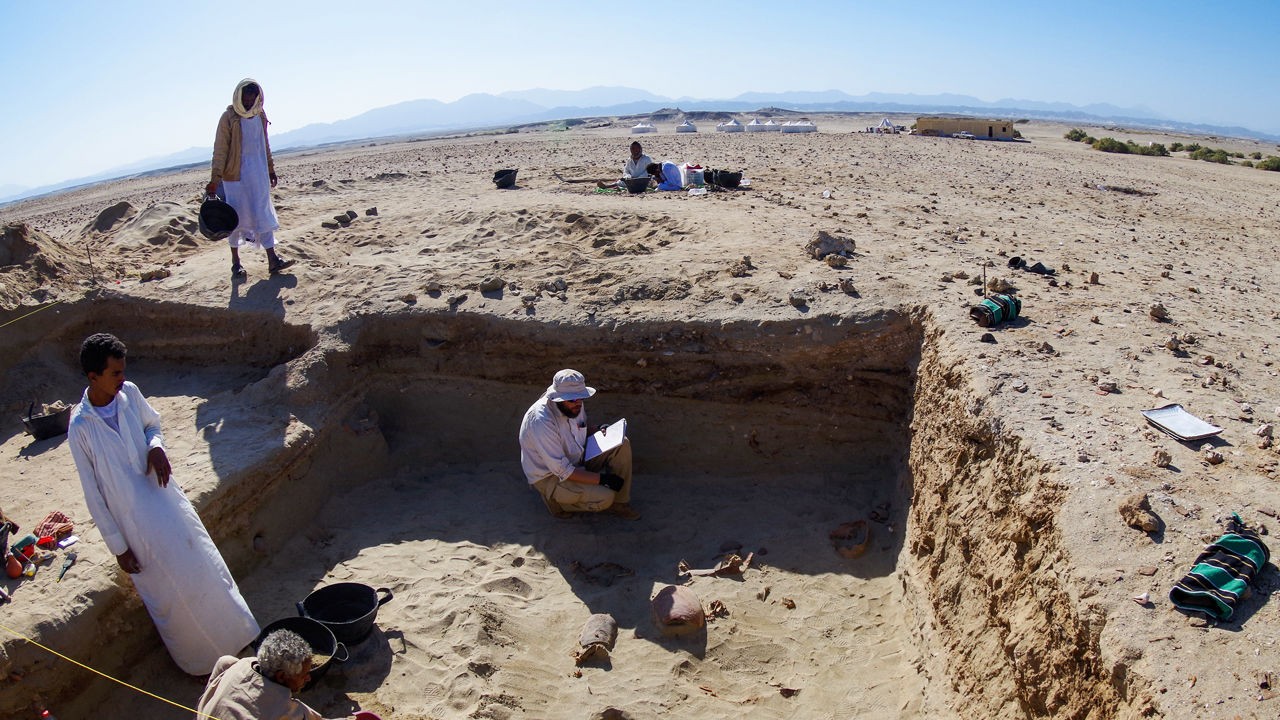 Pesquisadores trabalham durante escavações no cemitério de animais na região onde ficava Berenice, no Egito (Foto: Divulgação¹Academia Polonesa de Ciências/ Marta Osypinska )