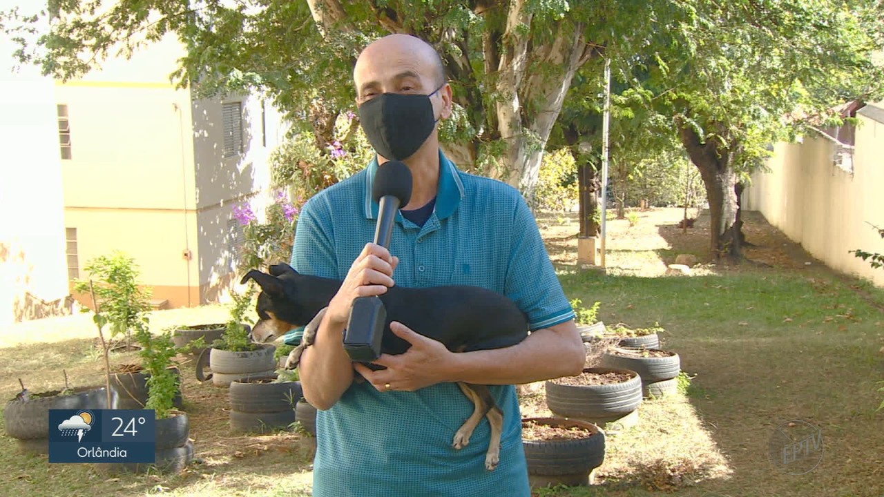 ‘Casa Prática’ traz dicas para reeducar pets com hábitos ruins de alimentação