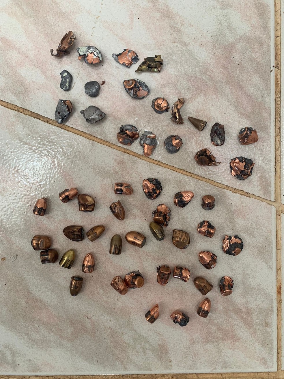 Policía investiga muerte de presunto narcotraficante internacional en PR – Foto: Instituto de Reproducción/Criminalística