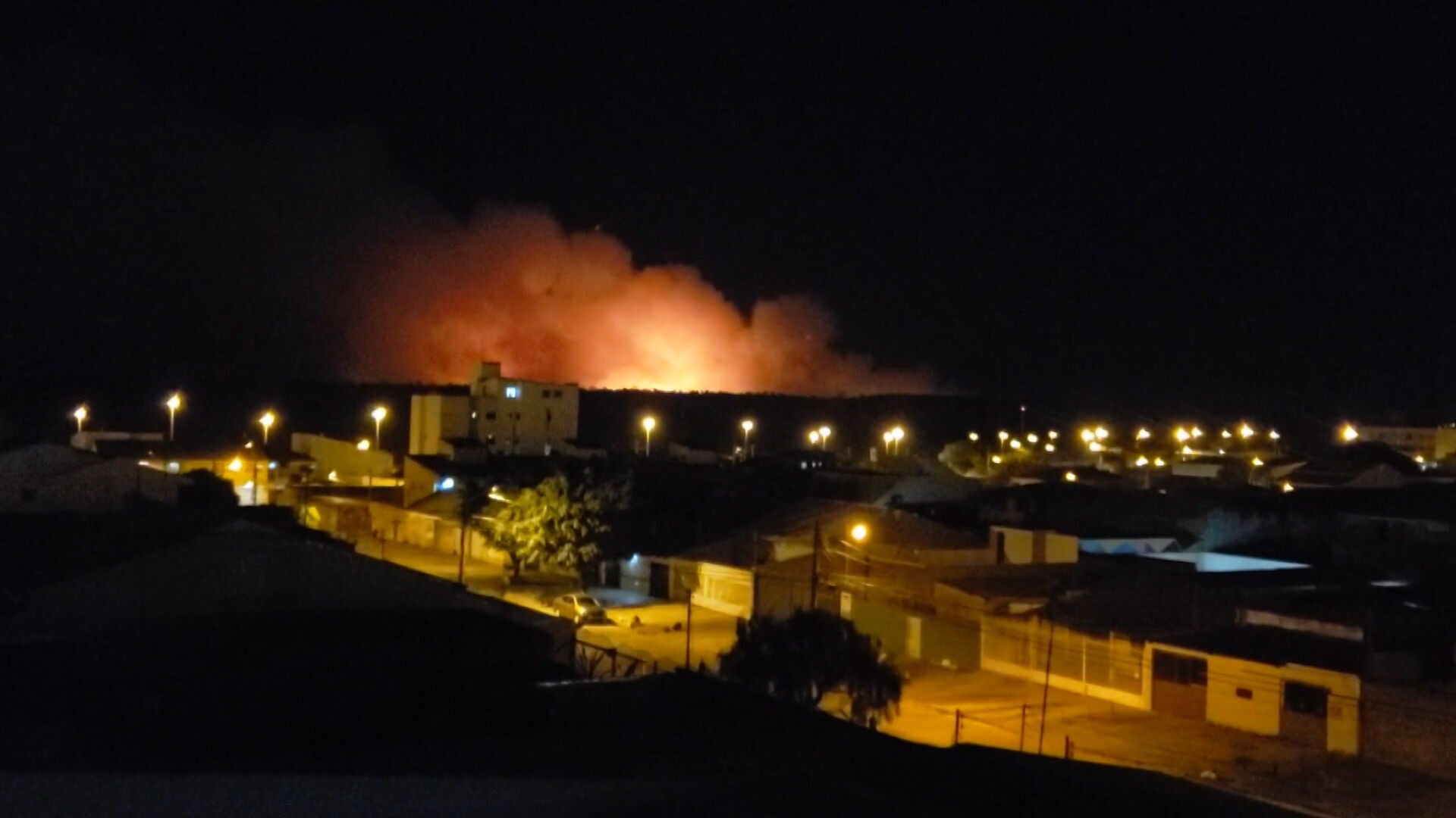 Fogueira acesa por adolescentes causa incêndio na Floresta Nacional de Brasília thumbnail