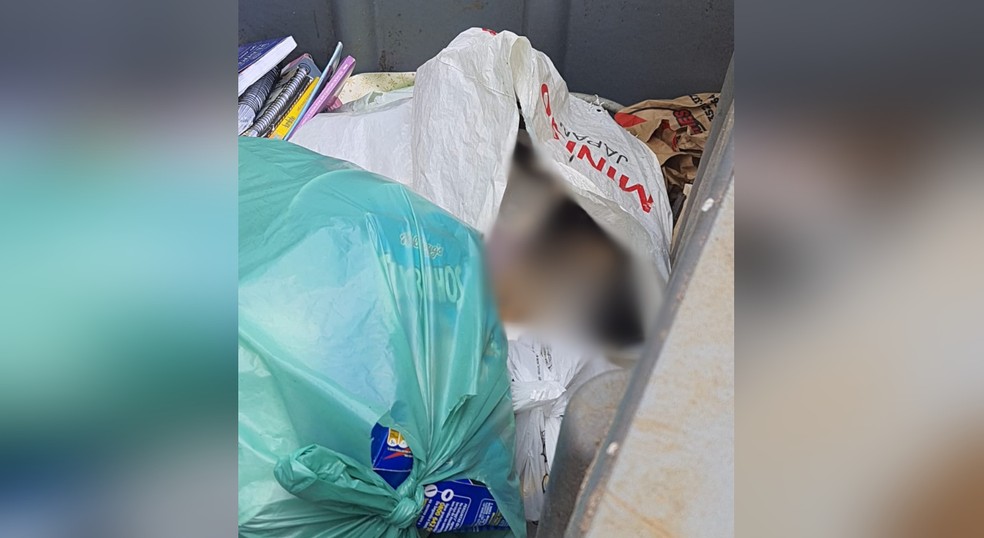 Cachorro foi encontrado morto dentro de lixeira em Itapeva (SP) — Foto: Guarda Civil Municipal/Divulgação