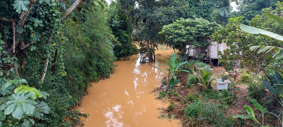 Igarapé Batista foi um dos que inundou e atingiu casas em bairros de Rio Branco — Foto: Murilo Lima/Rede Amazônica