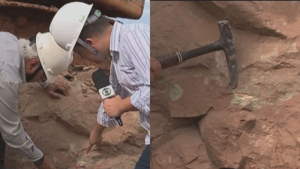 Fóssil foi localizado enquanto era gravada reportagem em Uberaba — Foto: Reprodução/TV Integração