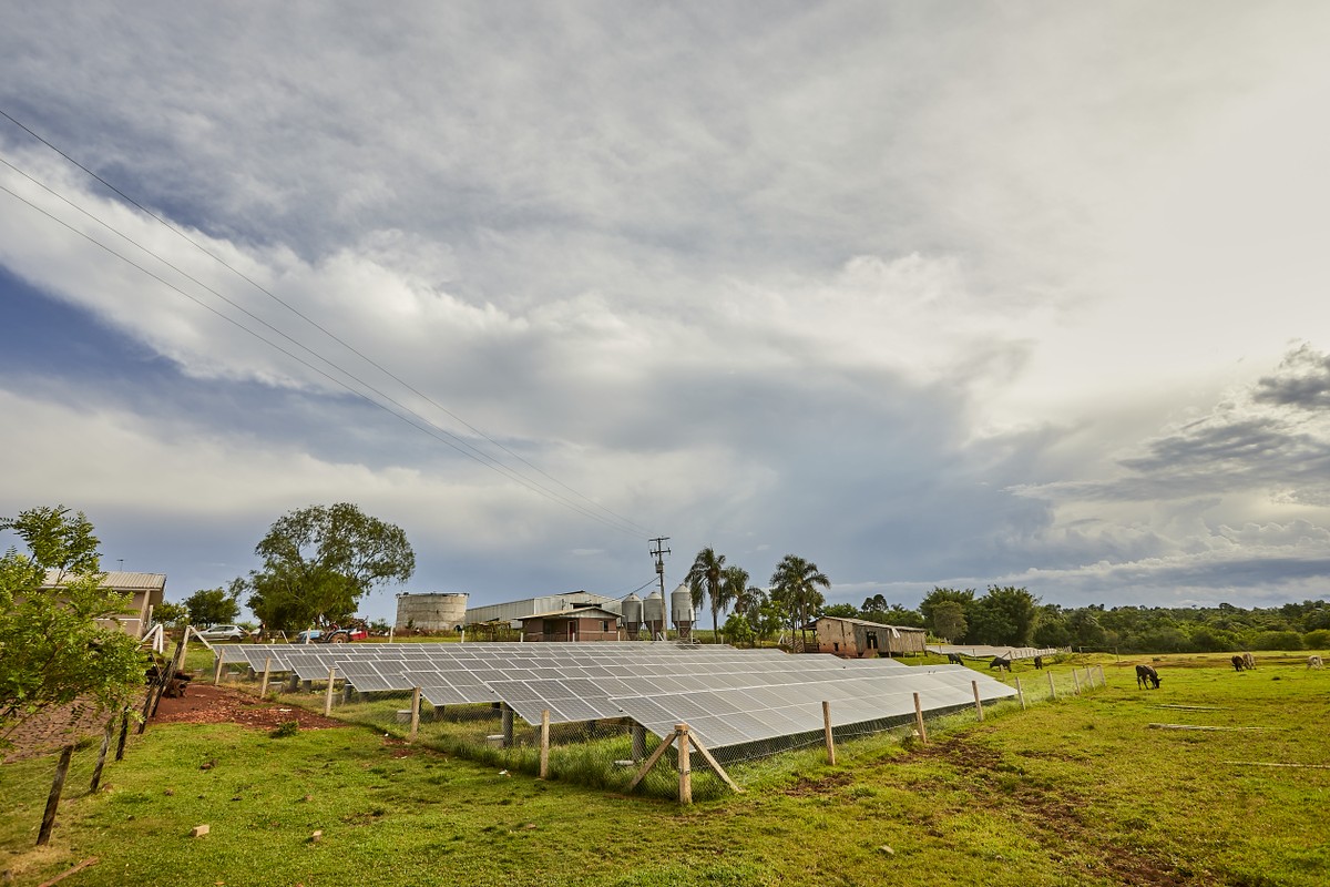 Seguro para painéis solares gera benefícios para empresas e consumidores - Globo