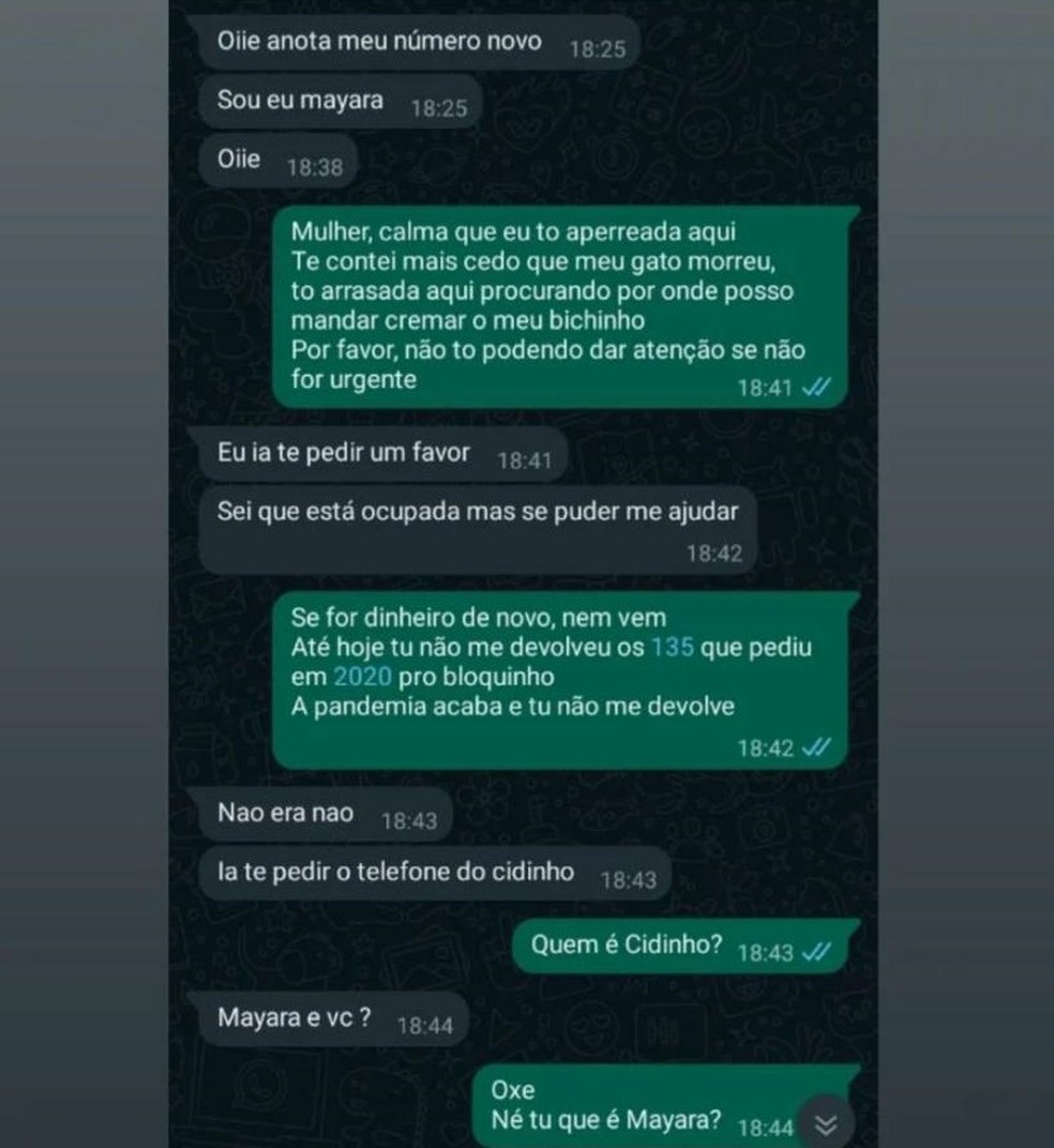 Conversa foi iniciada a partir de um número desconhecido. — Foto: Reprodução