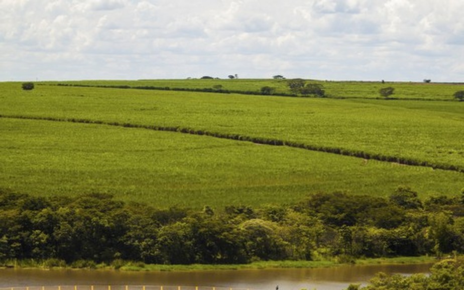 BrasilAgro anunciou lucro menor e venda de parte de uma propriedade no Paraguai