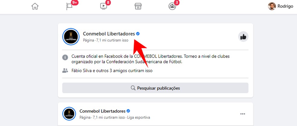 Universitario X Palmeiras Ao Vivo Onde Assistir Ao Jogo Da Libertadores Streaming Techtudo