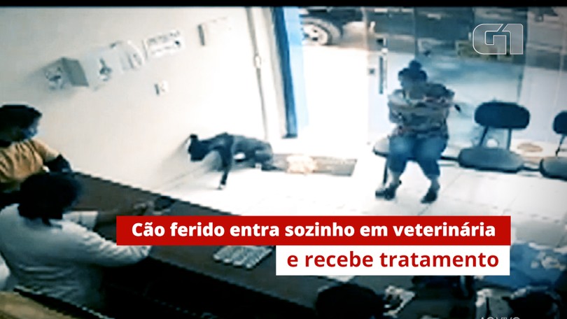 Ludrnobc Incem