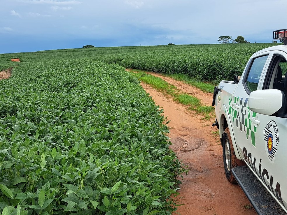 Fazendeiro desmatou 9 hectares para o plantio de soja em Pirapozinho (SP) — Foto: Polícia Militar Ambiental