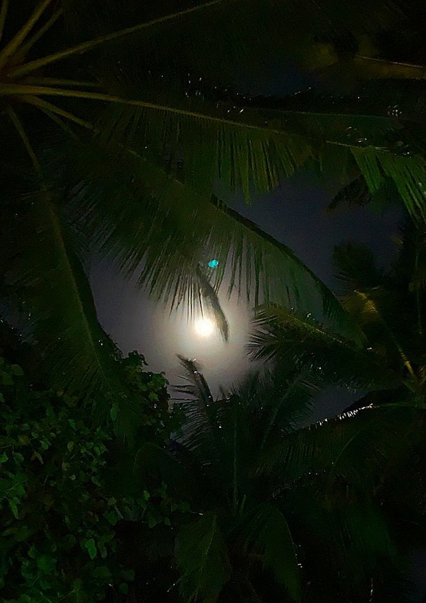 Carol Dias e Kaká assistem cinema a céu aberto em noite de lua cheia (Foto: Reprodução/Instagram)