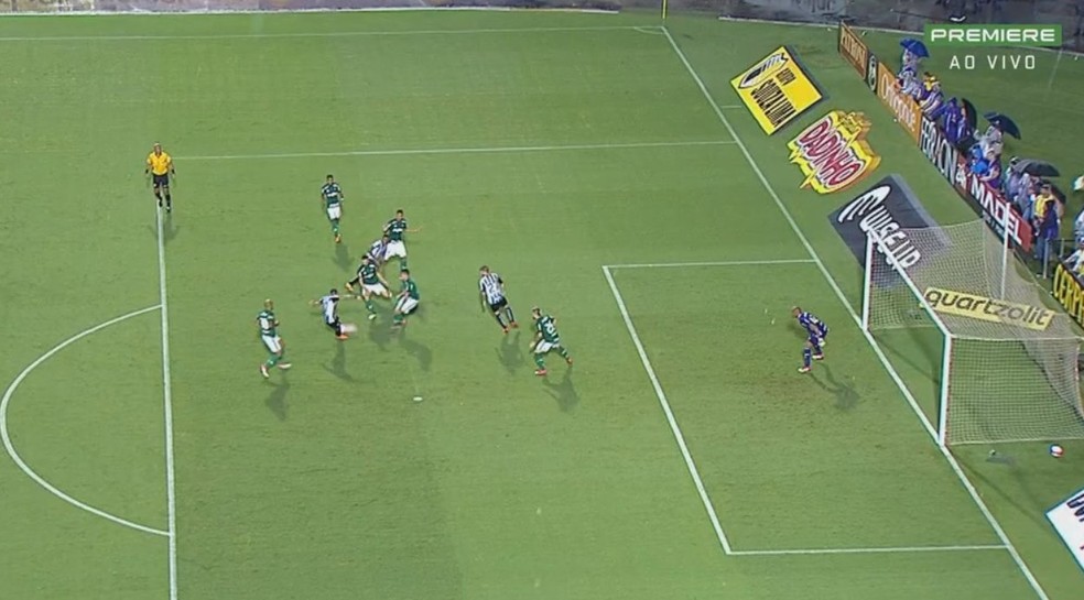 Alagoas Alerta - Palmeiras avança à final, mas ainda ...