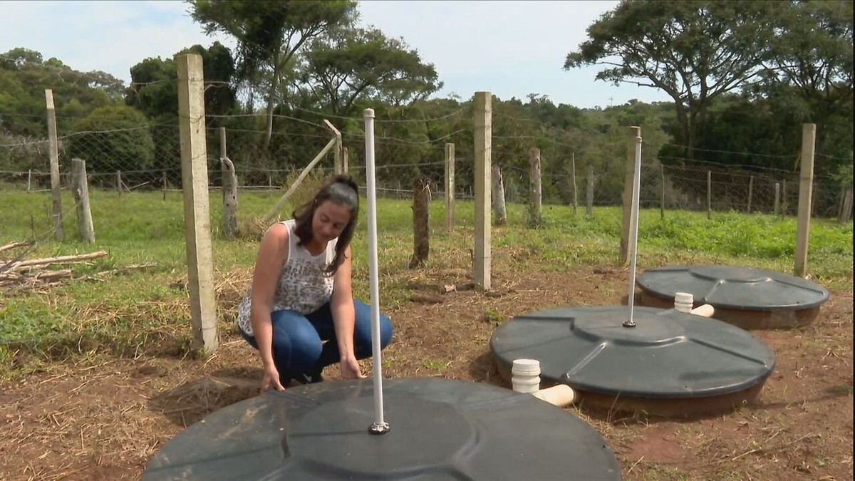 Fossa séptica biodigestora: curso gratuito mostra como fazer sistema de saneamento que não contamina o solo