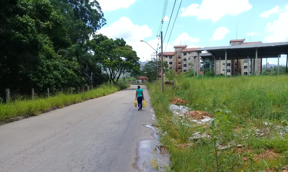 Cep Estrada Do Beija Flor Mogi Das Cruzes  Últimas Flores