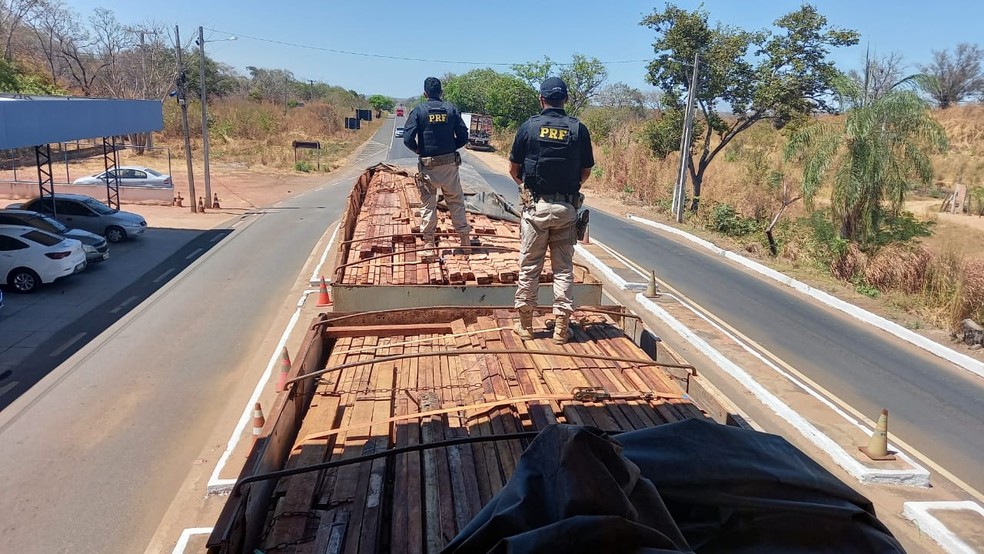 PRF apreende carga de madeira equivalente a quatro campos de futebol no Piauí — Foto: Divulgação/PRF