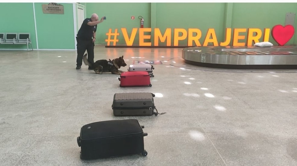 Passageiras abandonaram malas com mais de 50 kg de skunk em aeroporto do Ceará. — Foto: Reprodução