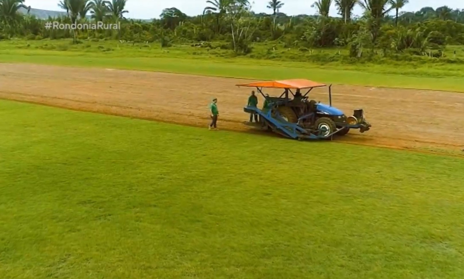 Saiba como é o processo de produção de grama que abaste Rondônia e parte do AC e AM