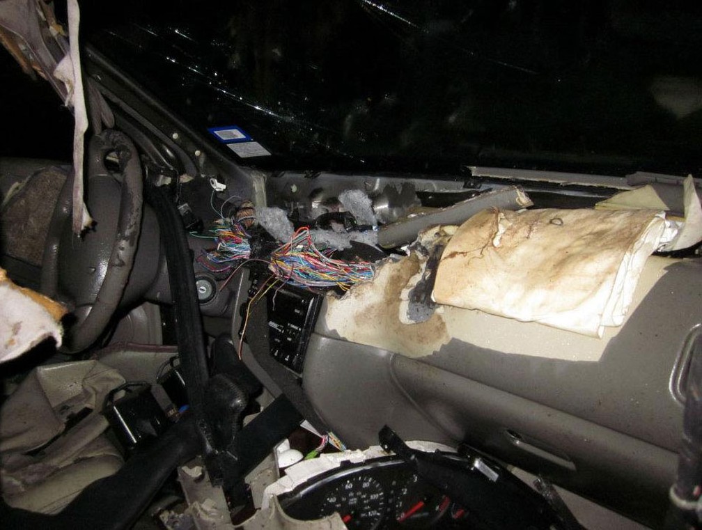 Urso destrói interior de carro nos EUA — Foto: Snowmass Village Police Department/Facebook