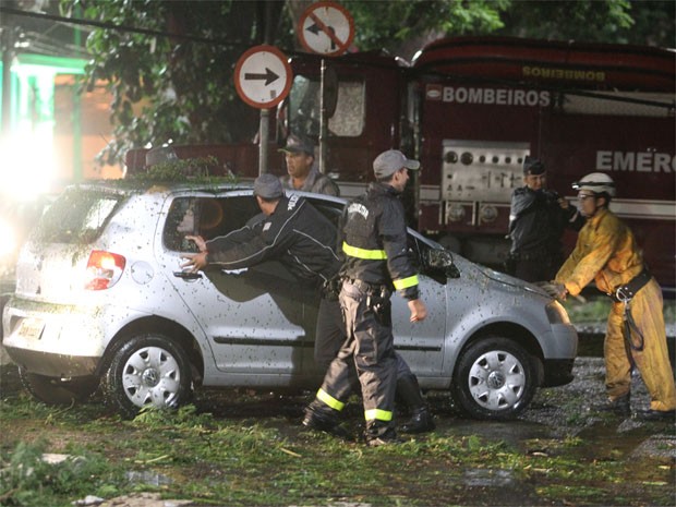 Temporal derrubou átvores que atingiram veículos em cruzamento de Ribeirão Preto (Foto: Tiago Brandão/Jornal A Cidade)