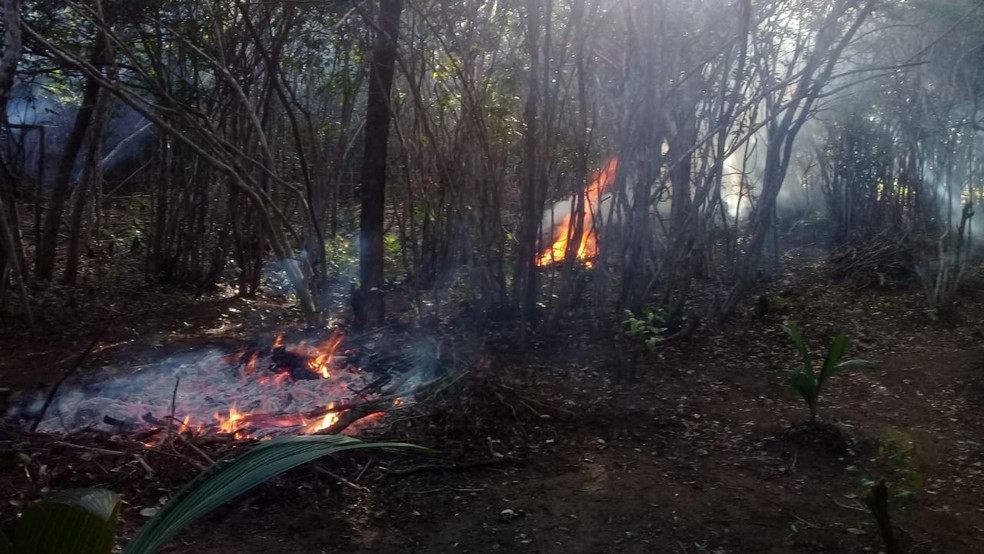 Cipam flarou homem colocando fogo em zona de proteÃ§Ã£o ambiental em Pipa â€” Foto: DivulgaÃ§Ã£o