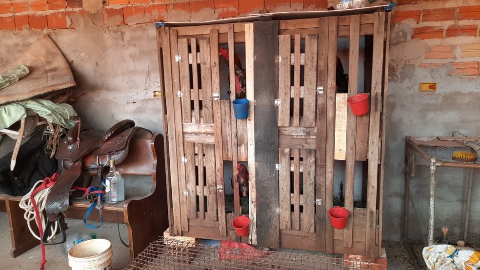 O proprietário da casa foi autuado por infração ambiental, com multa no valor de r$ 72.000,00 — Foto: Polícia Ambiental /Divulgação