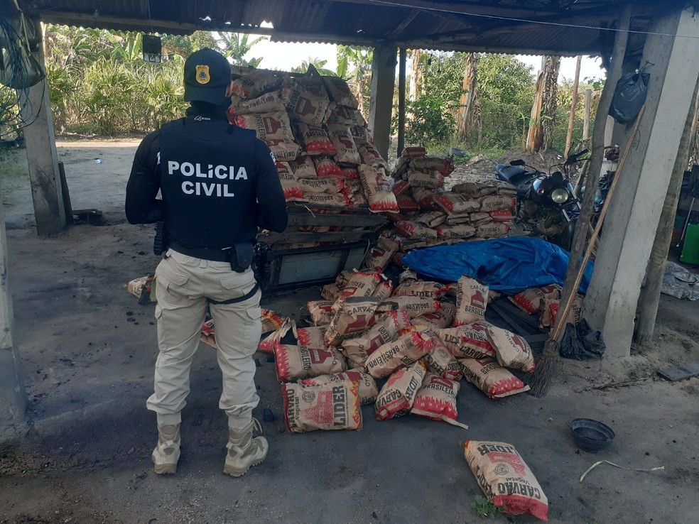 Polícias Civil e Militar apreendem carvão ilegal em Caravelas — Foto: Foto: SSP