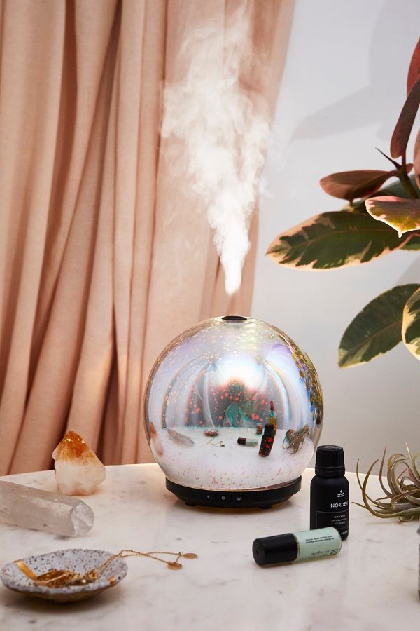 Aromaterapia: como incorporar aos ambientes da casa e quais são os óleos essenciais mais indicados (Foto: Divulgação)
