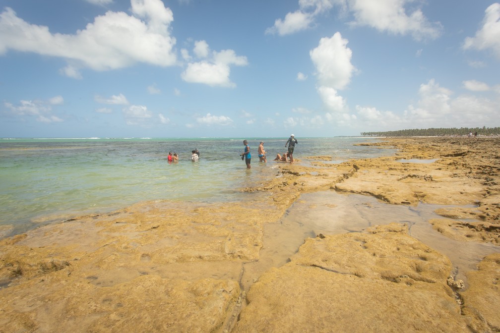 Piscinas naturais de Carneiros são de acesso mais complicado por conta do arrecife de corais — Foto: Celso Tavares/G1