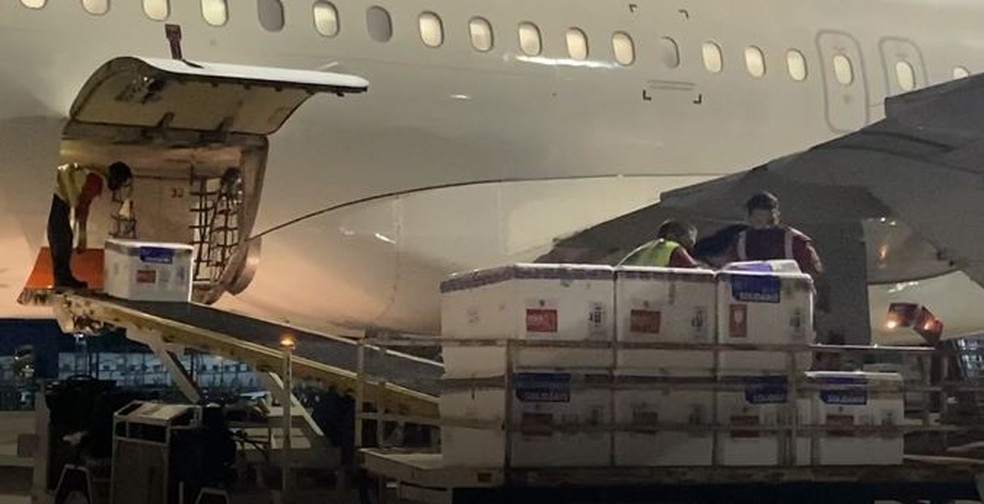 Carregamento com 128 mil doses de vacinas chegou ao Ceará na madrugada desta sexta-feira (23). — Foto: Sesa/Divulgação