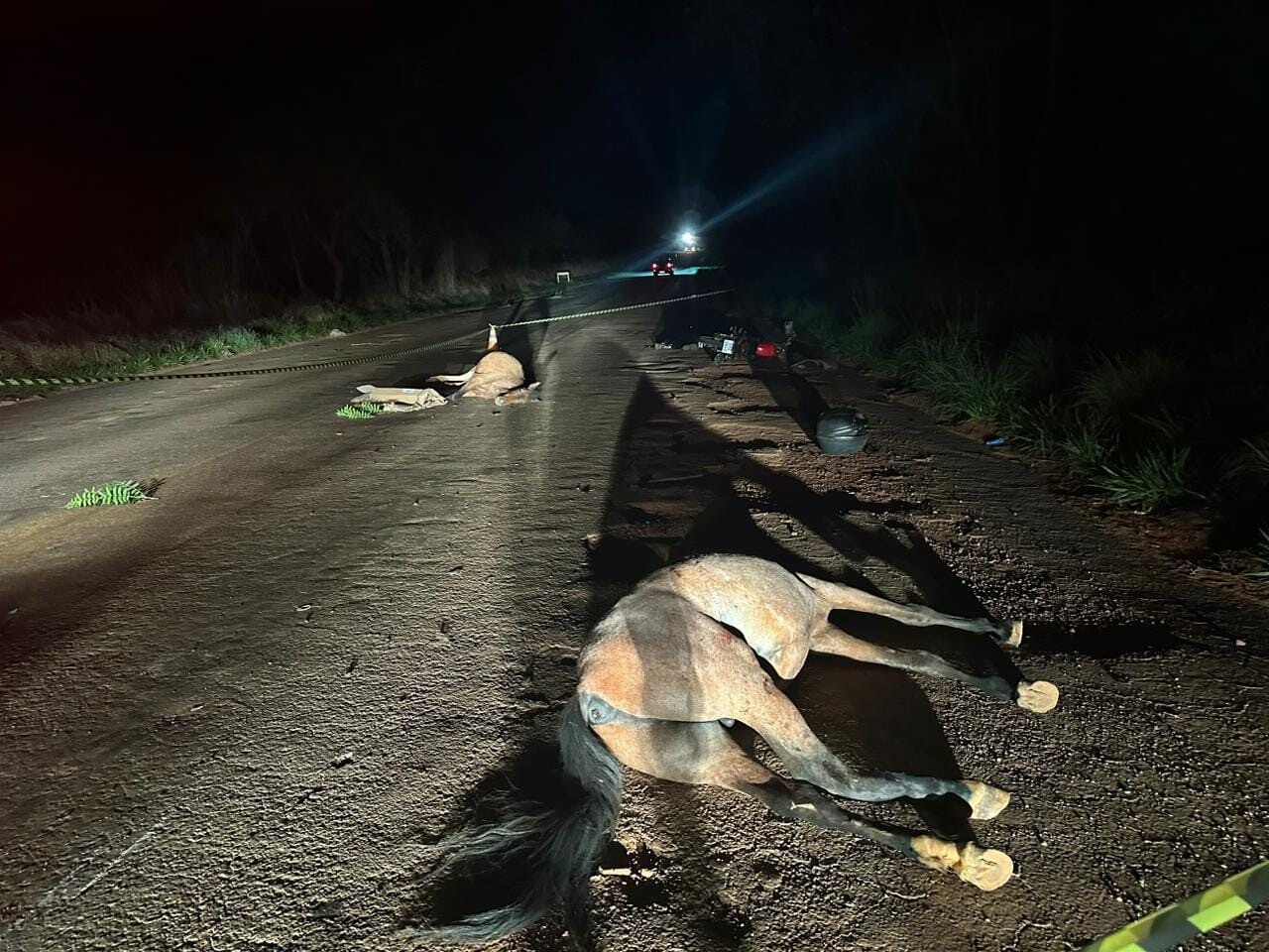Motociclista morre ao bater em dois cavalos soltos na BR-352, em Abaeté