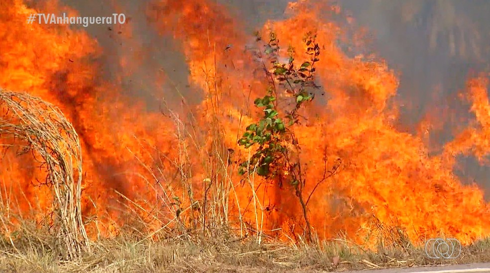 Número de incêndios passou de 4 mil neste ano no Tocantins — Foto: Reprodução/TV Anhanguera