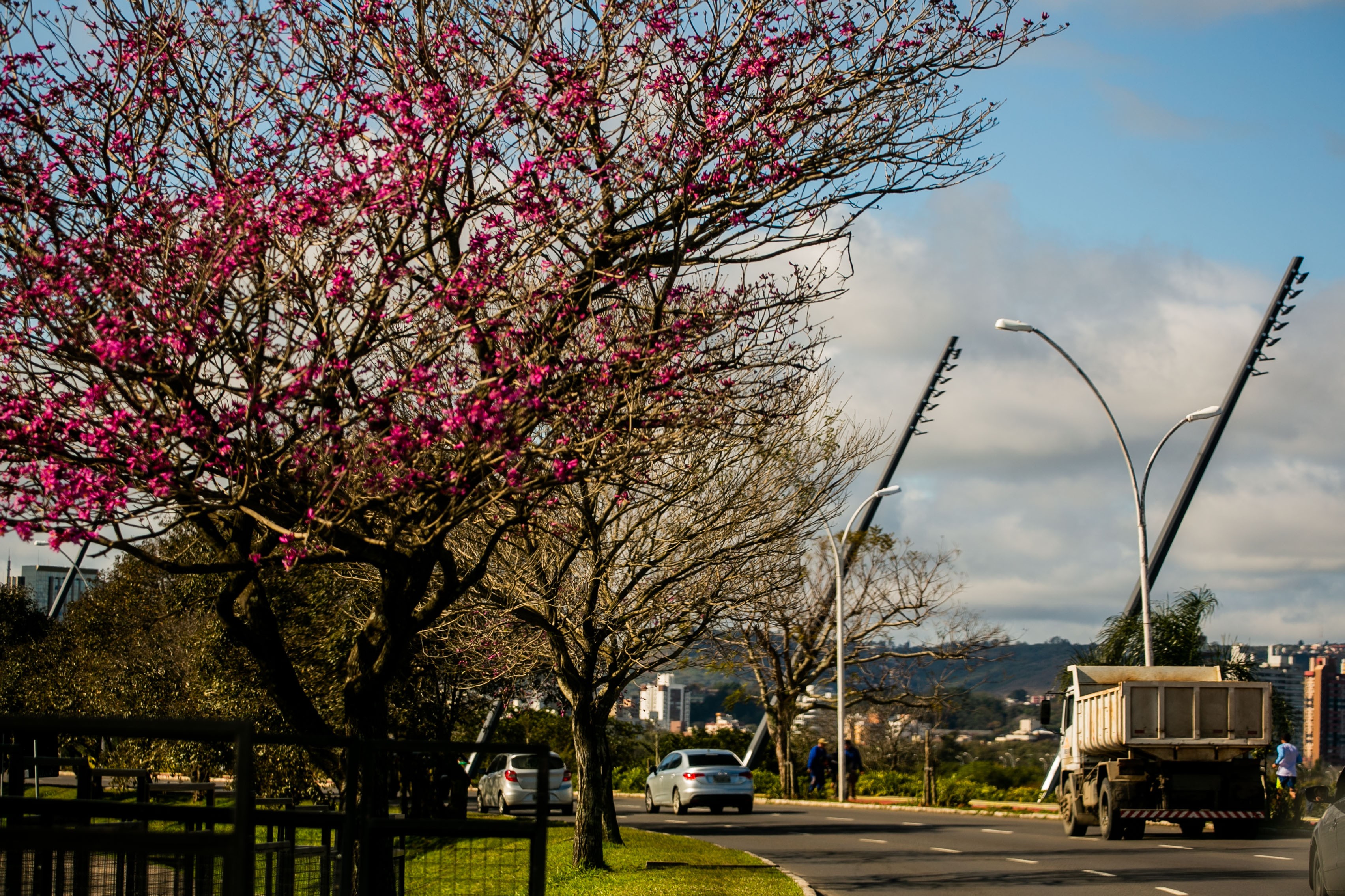 Resultado de imagem para Porto Alegre