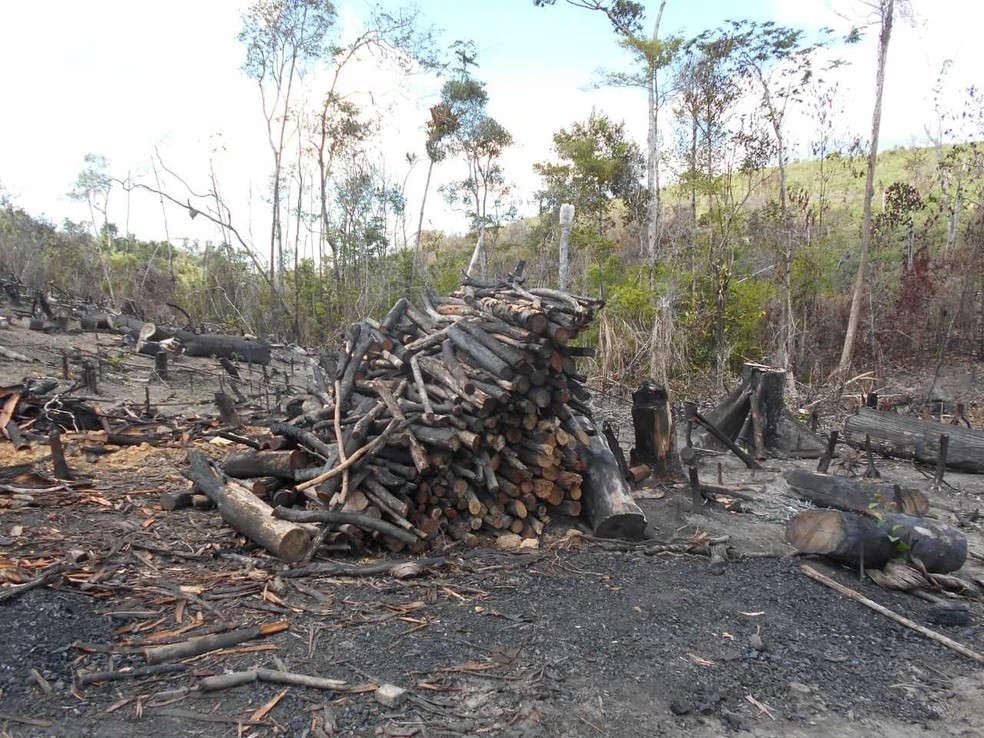 A ação foi realizada em Jandaíra, Esplanada, Entre Rios, Cardeal da Silva, Conde e Itanagra. Não há registro de presos na ação. — Foto: Inema / Divulgação 