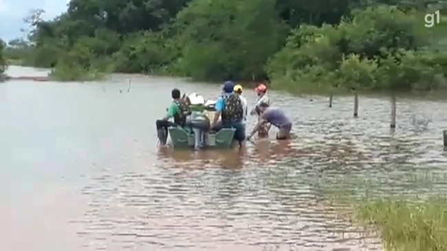 Produtores usam barco para transportar mais de 100 caixas de quiabo durante alagamento
