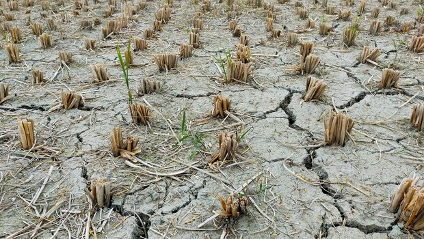 Sudden dryness (Photo: Unsplash)