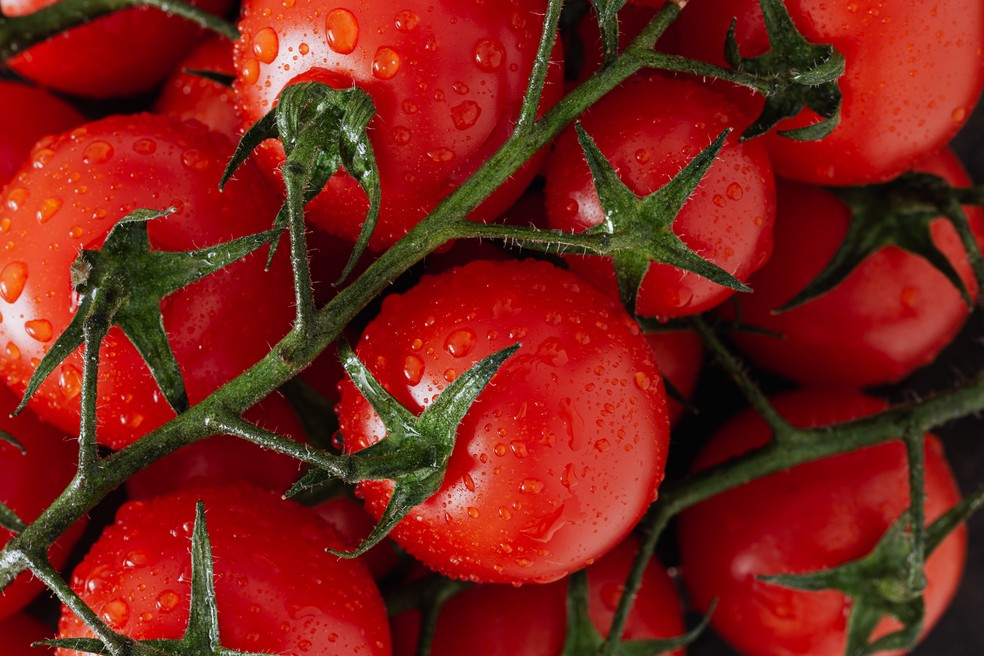 O tomate tem inúmeros benefícios para a saúde — Foto: Reprodução da internet