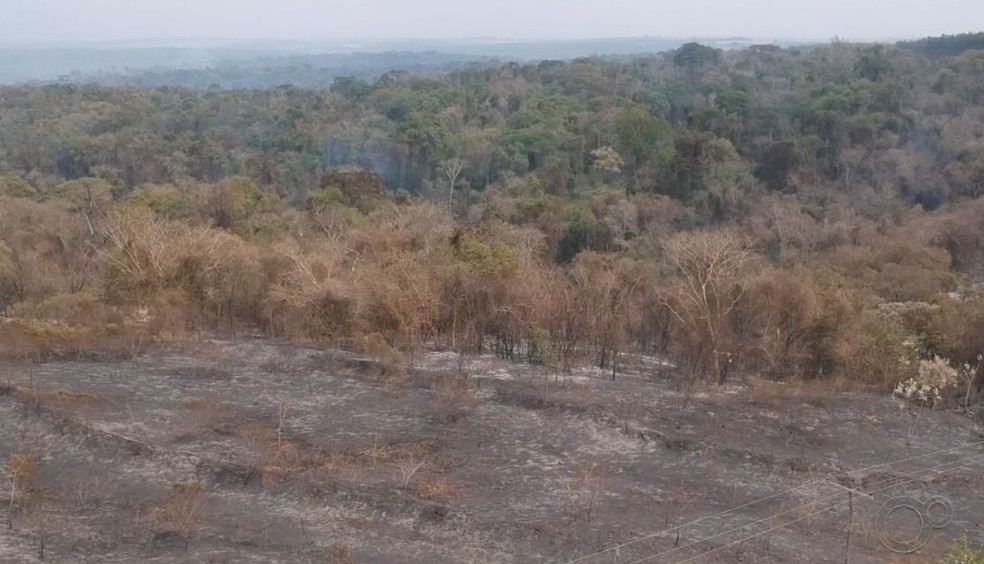 Incêndio atingiu entre 40 e 50% da área da reserva de mata atlântica  — Foto: TV TEM/ Reprodução