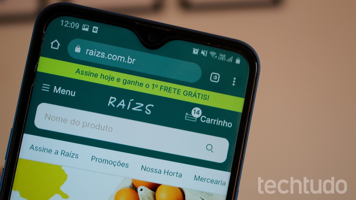 Como usar o site Raízs para comprar produtos orgânicos em cestas ou delivery