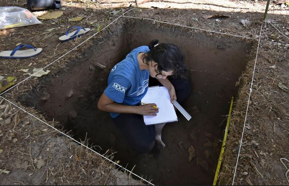 Trabalho de pesquisadores é minucioso (Foto: Divulgação/Adriano Gambarini)