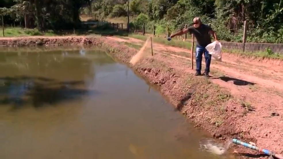 Elias Vitor é um dos maiores produtores de pescados da região de Nazária, no Piauí — Foto: TV Clube