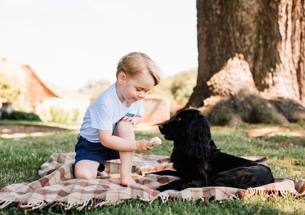 Príncipe George com 3 anos (Foto: Reprodução/Instagram @dukeandduchessofcambridge / Palácio de Kensington)