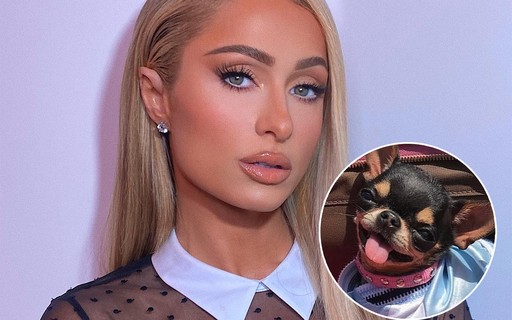Paris Hilton consultou 7 médiuns de animais para descobrir paradeiro de cachorra desaparecida